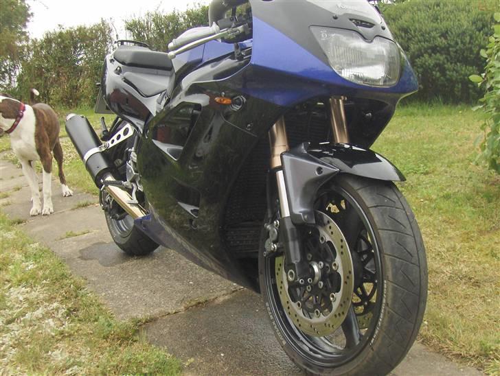 Kawasaki zxr 400 billede 1