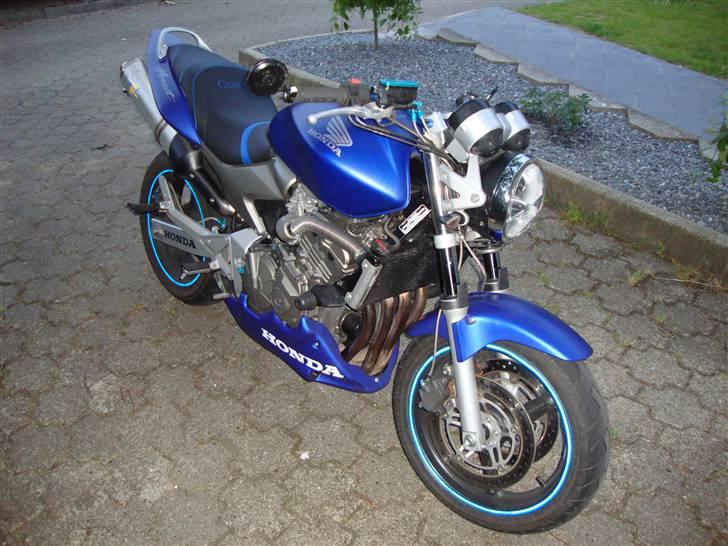 Honda CB 600 Hornet billede 1