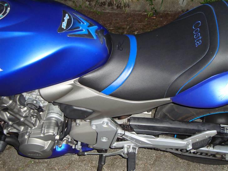 Honda CB 600 Hornet billede 5