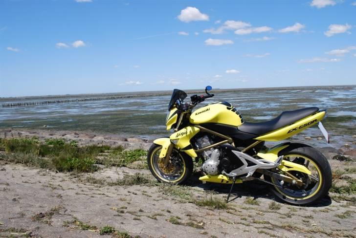 Kawasaki ER-6n - Streetbike billede 6