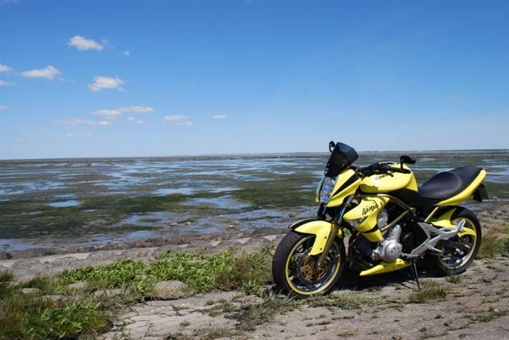 Kawasaki ER-6n - Streetbike billede 7