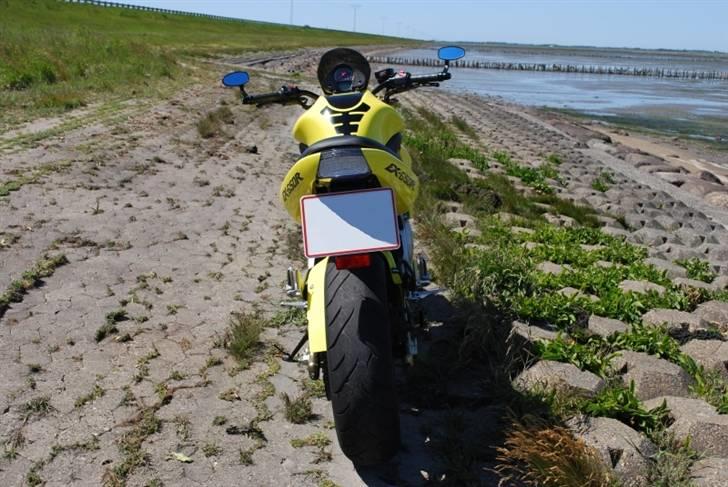 Kawasaki ER-6n - Streetbike billede 9