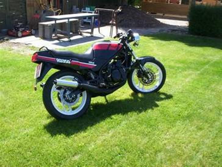 Honda XL 500 billede 2