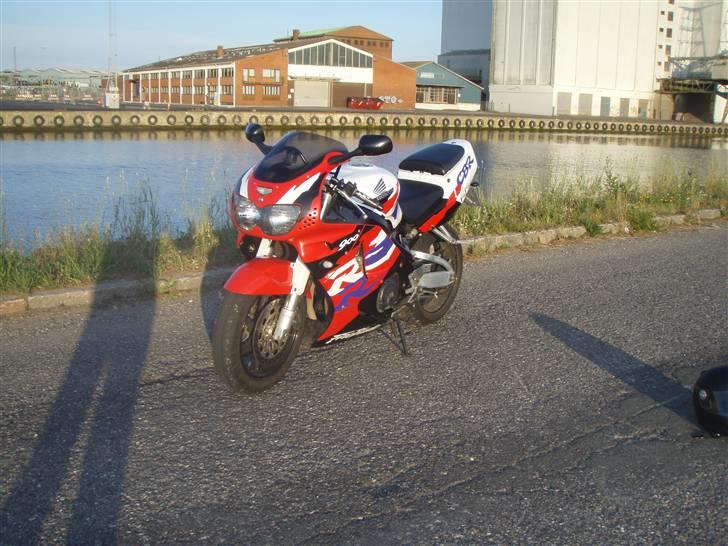 Honda fireblade billede 7