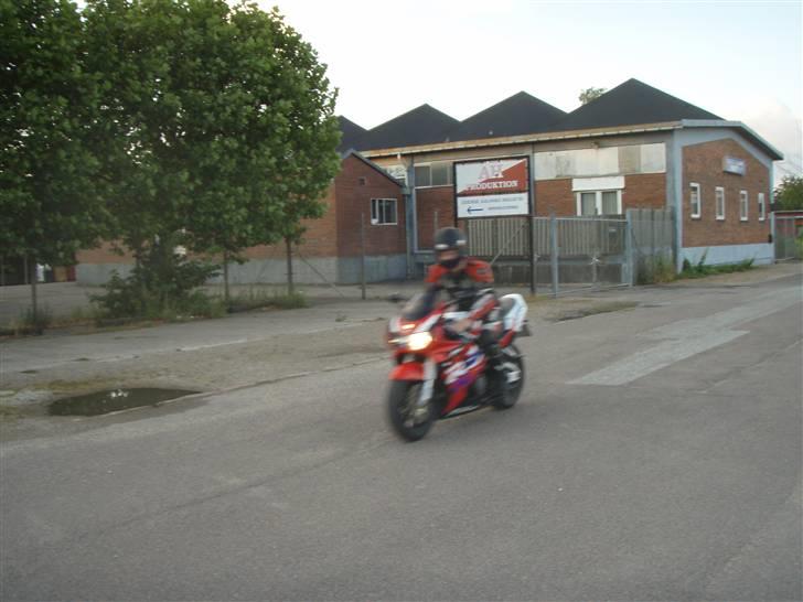 Honda fireblade billede 11