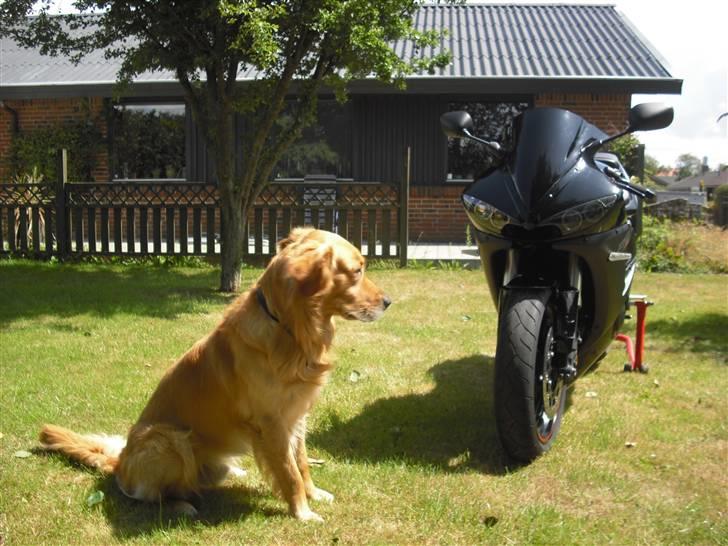 Yamaha YZF R6S billede 13