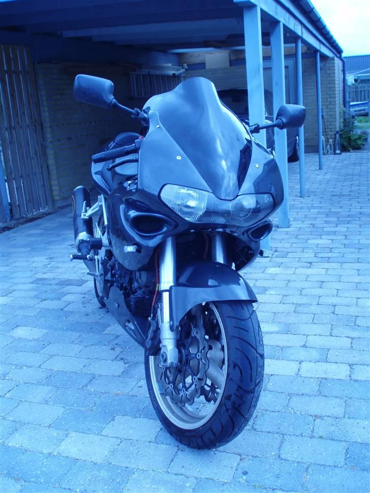 Suzuki TL 1000 s billede 4