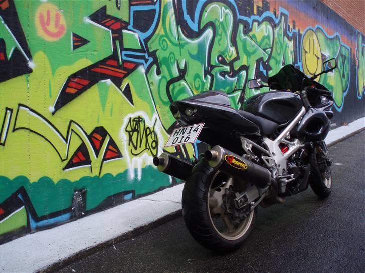 Suzuki TL 1000 s billede 10