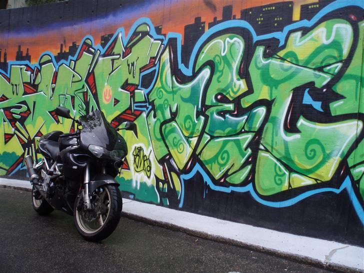 Suzuki TL 1000 s billede 11