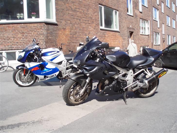 Suzuki TL 1000 s - To maskiner der bare lyder godt når de kommer kørende.. billede 16