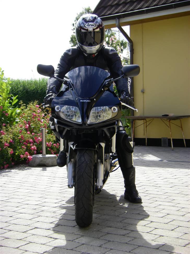 Suzuki SV 1000s K7 billede 16