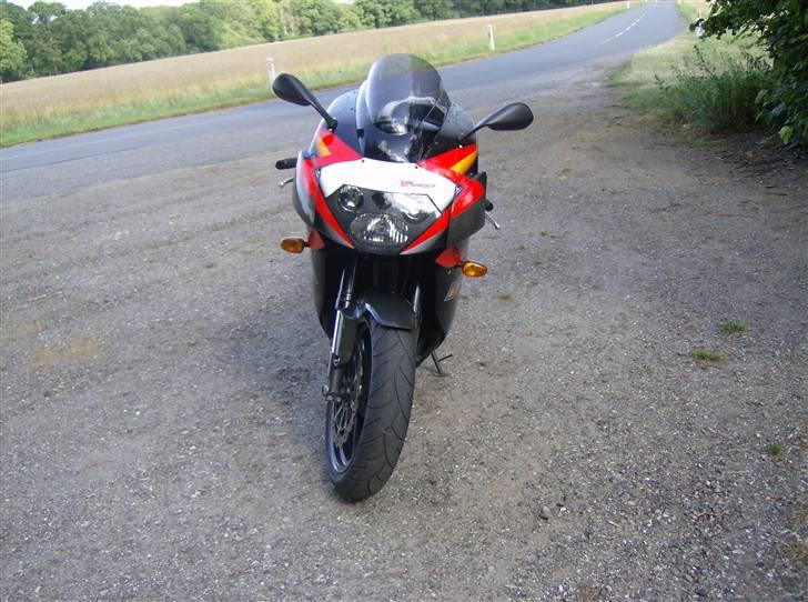 Aprilia rsv billede 2