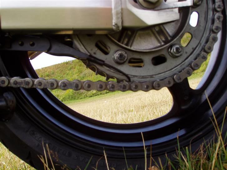 Honda CBR 600 F4i - Scottoiler billede 15