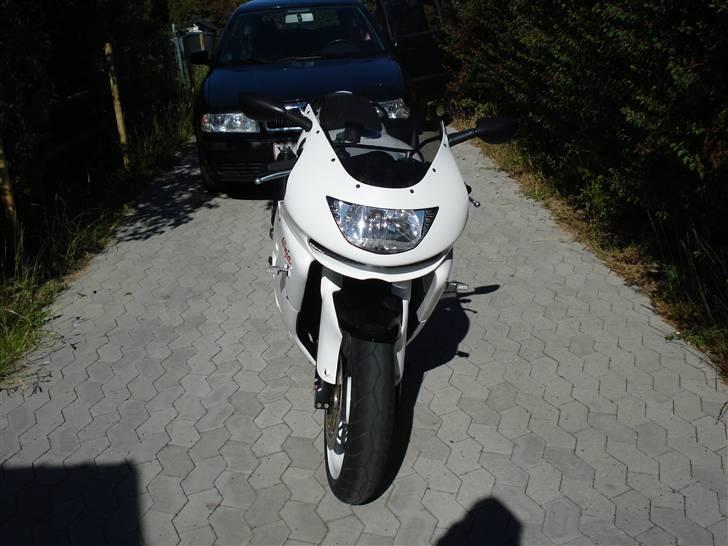 Kawasaki ZX9R billede 2