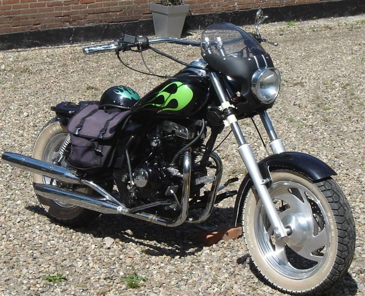 Jinlun  " Geniune Flopper" billede 5