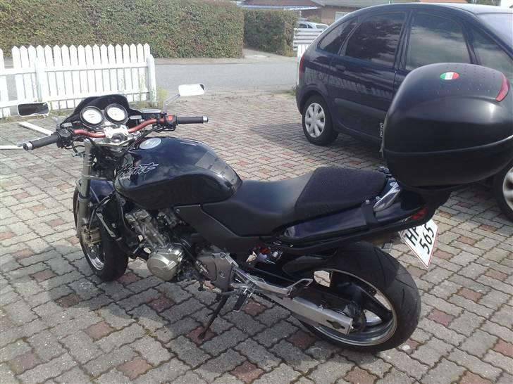 Honda Cb 600 F - Hornet*solgt* - Triboseat, så konen ikke humper mig bagfra. billede 6