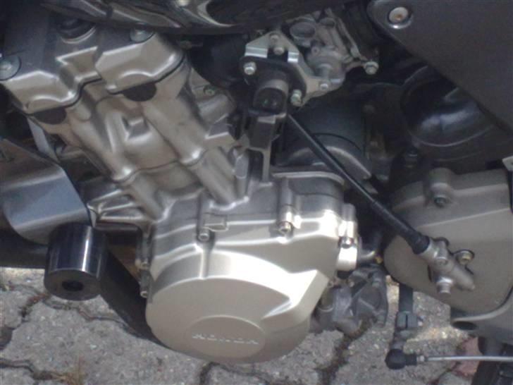 Honda Cb 600 F - Hornet*solgt* - Nye skruer med umbraco. Meget nemmere at have med at gøre. billede 7