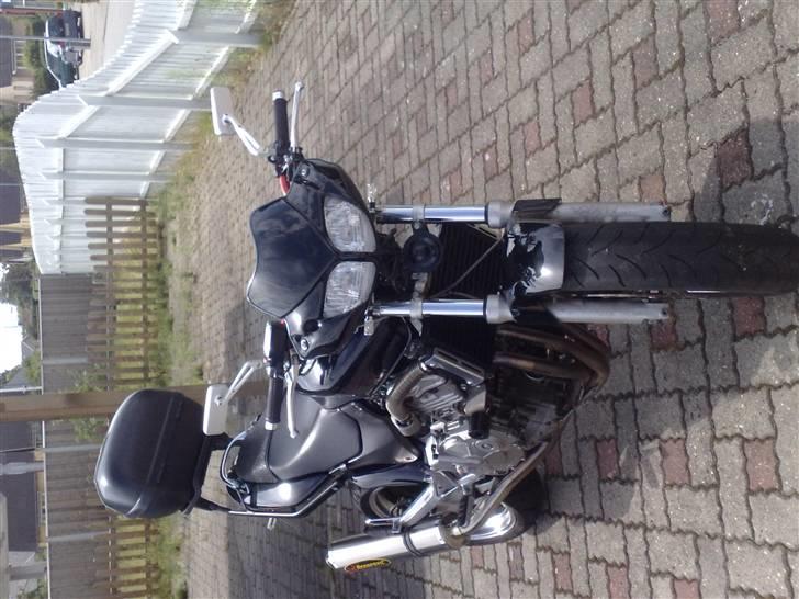 Honda Cb 600 F - Hornet*solgt* - Nye spejle i stedet for Rizoma. billede 10