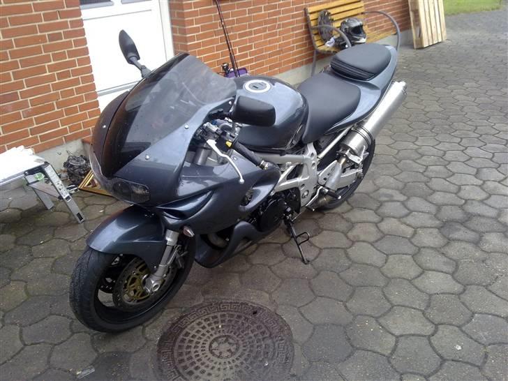 Suzuki tl 1000 billede 7