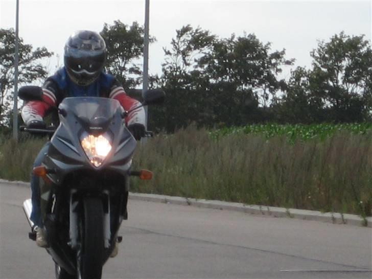 Suzuki GS 500 FK7 *SOLGT* - Close up af mig og Lille Suzi. billede 11