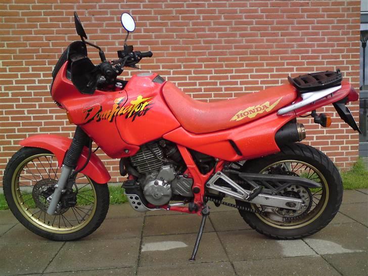 Honda NX 650 Dominator billede 1