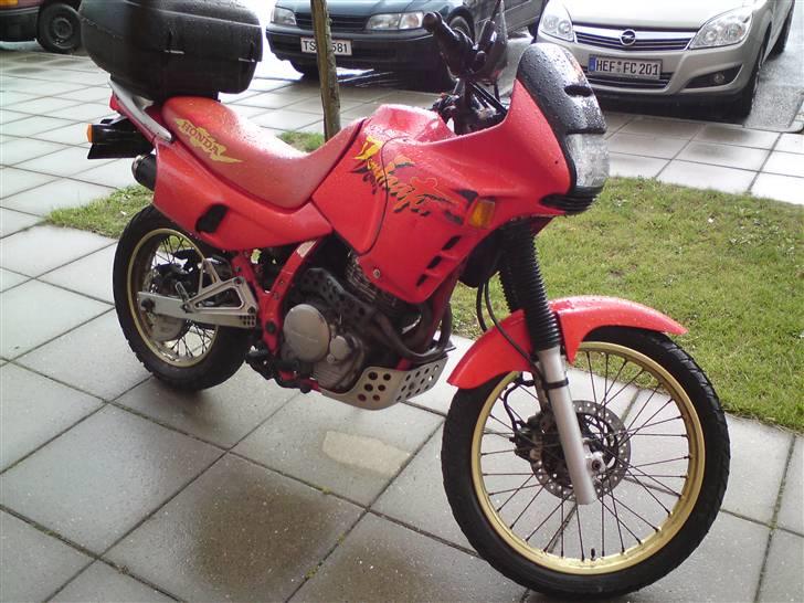 Honda NX 650 Dominator billede 3