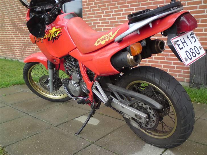 Honda NX 650 Dominator billede 5