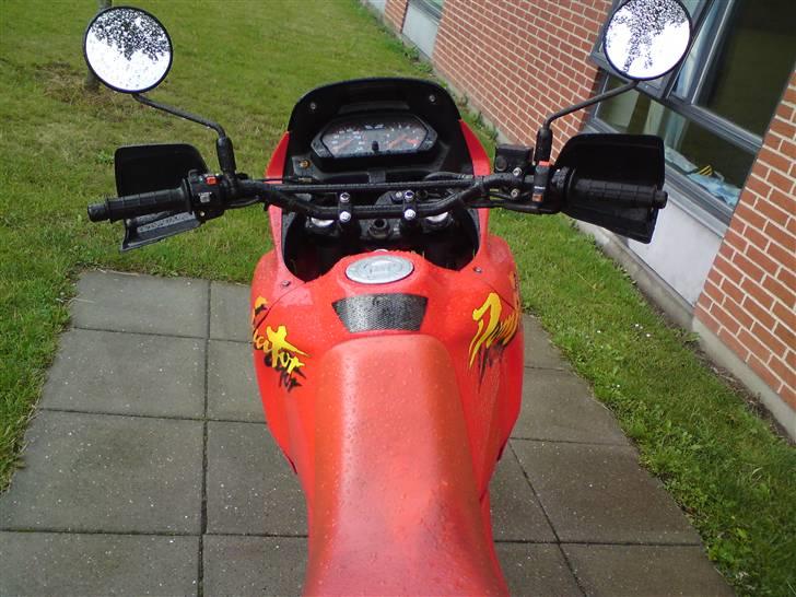 Honda NX 650 Dominator billede 6