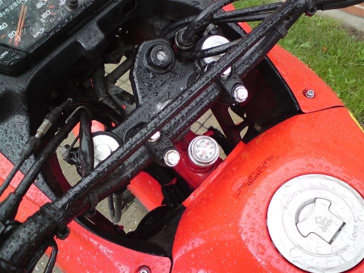 Honda NX 650 Dominator billede 7