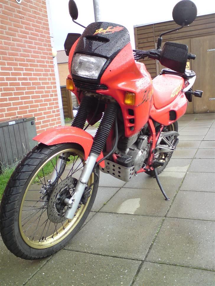 Honda NX 650 Dominator billede 8