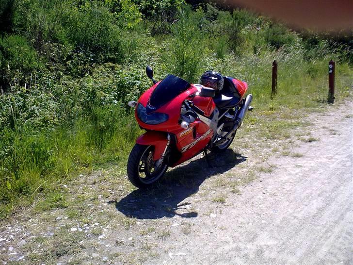 Suzuki TL1000R *Byttet* billede 10