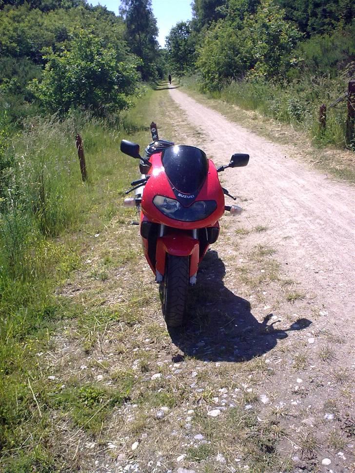 Suzuki TL1000R *Byttet* billede 12