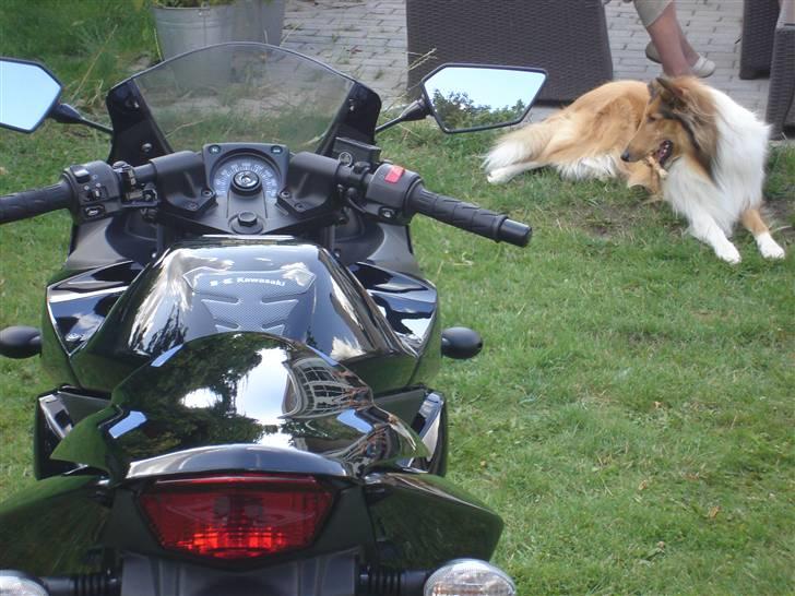 Kawasaki Ninja 250r billede 6