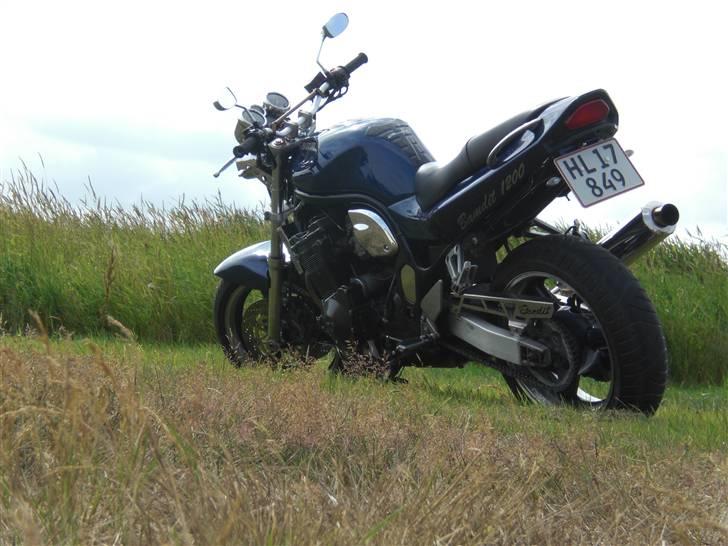 Suzuki bandit  1200 billede 2