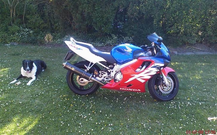 Honda CBR 600 F4 billede 2