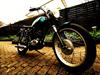 BSA B40
