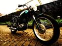 BSA B40