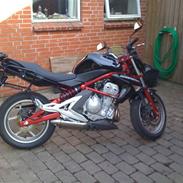 Kawasaki er 6n
