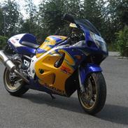 Suzuki GSXr 600 Corona