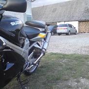 Suzuki tl1000r
