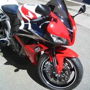 Honda CBR 600 RR