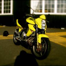 Kawasaki ER-6N Gul *Solgt*