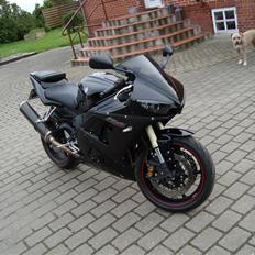 Yamaha r6