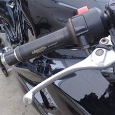 Honda CBR 600 F3 (Baneracer) SOLGT