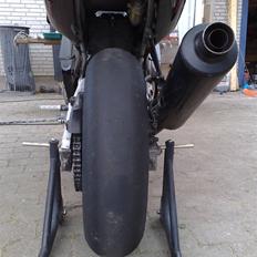 Honda CBR 600 F3 (Baneracer) SOLGT