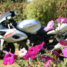 Suzuki TL 1000S *solgt*