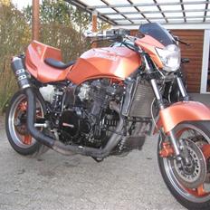 Kawasaki gpz 900/1000