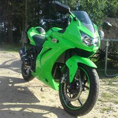 Kawasaki Ninja 250 R