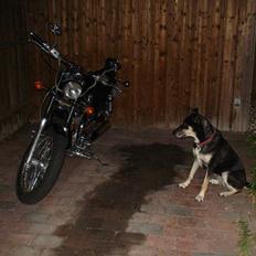 Suzuki Intruder VS 700 **SOLGT**
