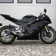 Yamaha R6 "BLACK/GOLD"